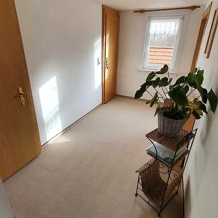 Apartment Wanderlust